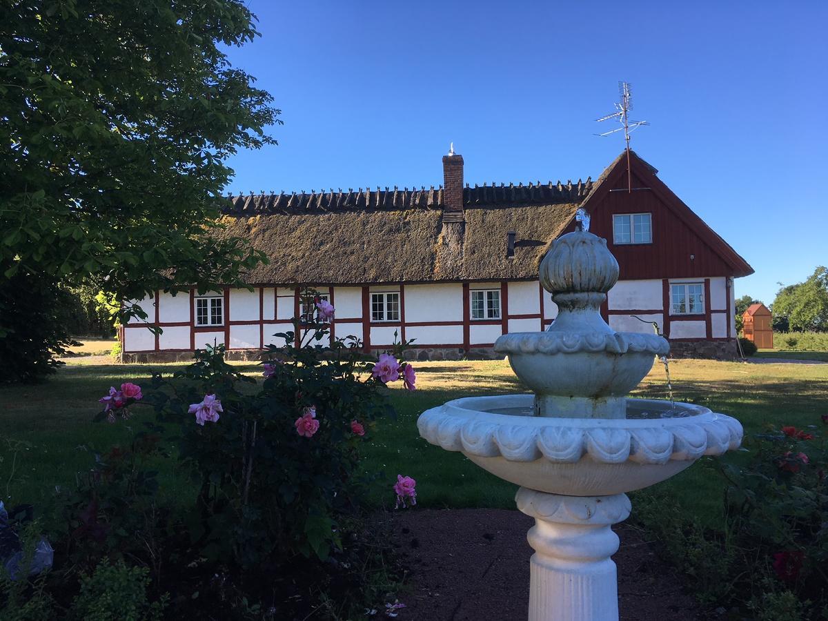 Kastanjegården på Stenshuvud Kivik Eksteriør bilde